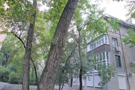 Прогулка по проспекту Гагарина (фоторепортаж)