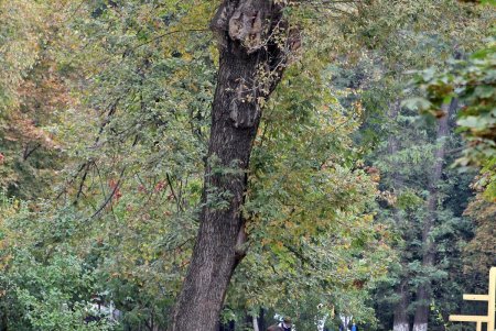 Прогулка по проспекту Гагарина (фоторепортаж)