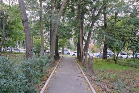 Прогулка по проспекту Гагарина (фоторепортаж)