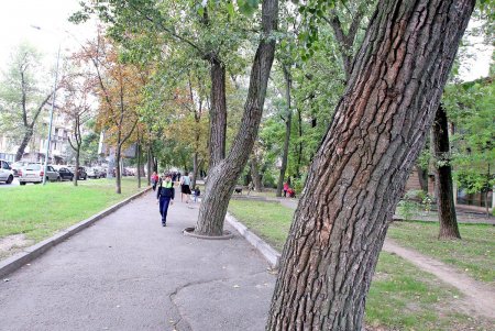 Прогулка по проспекту Гагарина (фоторепортаж)