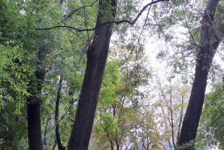 Прогулка по проспекту Гагарина (фоторепортаж)