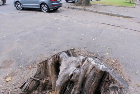 Прогулка по проспекту Гагарина (фоторепортаж)