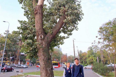 Прогулка по проспекту Гагарина (фоторепортаж)