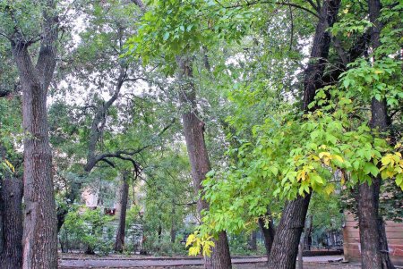 Прогулка по проспекту Гагарина (фоторепортаж)