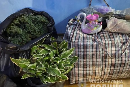 Одесситы массово выкапывали декоративные растения в Южном и продавали их на рынке: разоблачить воров помогли камеры видеонаблюдения