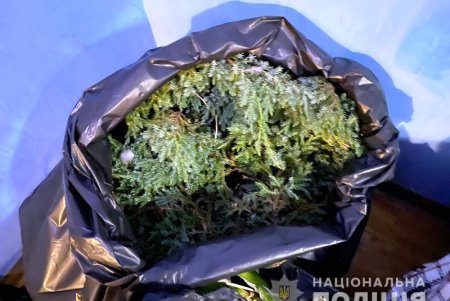 Одесситы массово выкапывали декоративные растения в Южном и продавали их на рынке: разоблачить воров помогли камеры видеонаблюдения