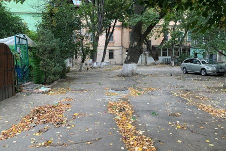 В районе Нового рынка ремонтируют внутридомовую территорию: заменят покрытие и обустроят площадку для бытовых отходов (фото)