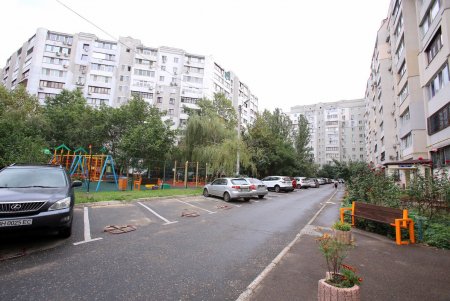 «Чудо-остров» на улице Говорова (фоторепортаж)