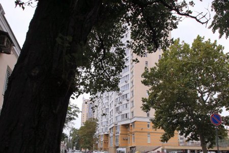 Улица Говорова – одна из самых густонаселенных в городе (фоторепортаж)