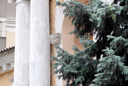 Улица Говорова – одна из самых густонаселенных в городе (фоторепортаж)