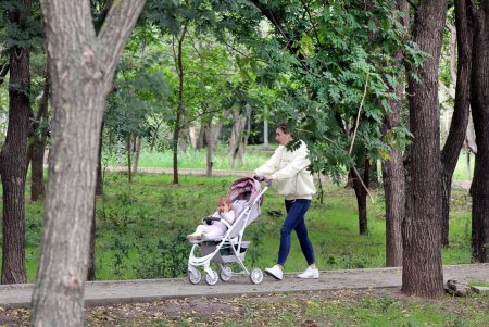 Улица Говорова – одна из самых густонаселенных в городе (фоторепортаж)