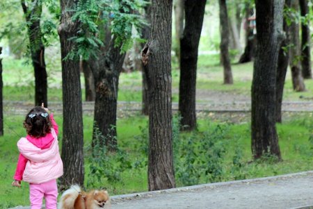 Улица Говорова – одна из самых густонаселенных в городе (фоторепортаж)