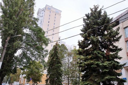 Улица Говорова – одна из самых густонаселенных в городе (фоторепортаж)