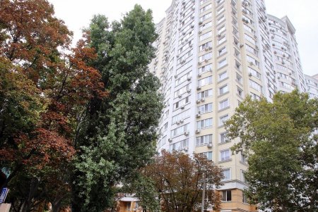 Улица Говорова – одна из самых густонаселенных в городе (фоторепортаж)