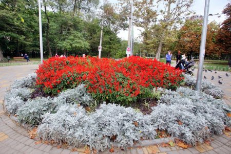 Улица Говорова – одна из самых густонаселенных в городе (фоторепортаж)