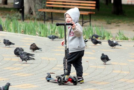 Улица Говорова – одна из самых густонаселенных в городе (фоторепортаж)
