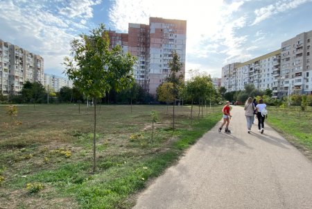 Беседки, детские площадки, парковка: совместно с жителями поселка Котовского разрабатывается проект благоустройства парка Энтузиастов (фото)