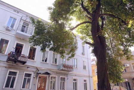 Дворовая атмосфера на Коблевской (фоторепортаж)