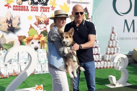 Odessa Dog Fest: на поселке Котовского прошел яркий фестиваль собак (фото)