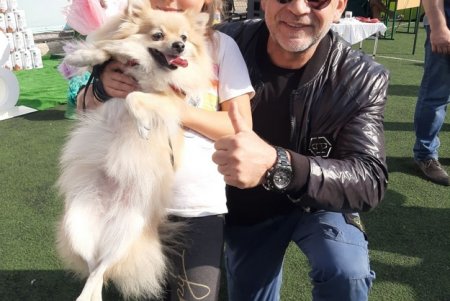 Odessa Dog Fest: на поселке Котовского прошел яркий фестиваль собак (фото)