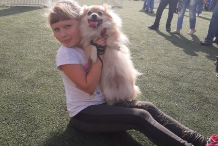 Odessa Dog Fest: на поселке Котовского прошел яркий фестиваль собак (фото)