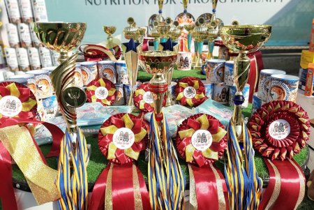 Odessa Dog Fest: на поселке Котовского прошел яркий фестиваль собак (фото)
