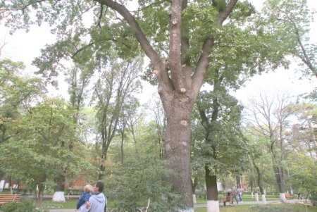 Новое приемное отделение появится в больнице № 11 (фоторепортаж)