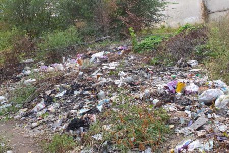 Коммунальщики ликвидировали стихийную свалку на Дальницкой, вывезя 60 тонн мусора (фото)