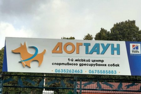 «Бархатный сезон-2020»: на 411-й батарее открылась выставка породистых собак (фото)
