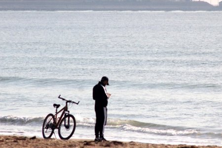Октябрьская Лузановка: чайки, коты и почти пустой пляж (фоторепортаж)