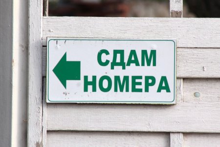 Октябрьская Лузановка: чайки, коты и почти пустой пляж (фоторепортаж)