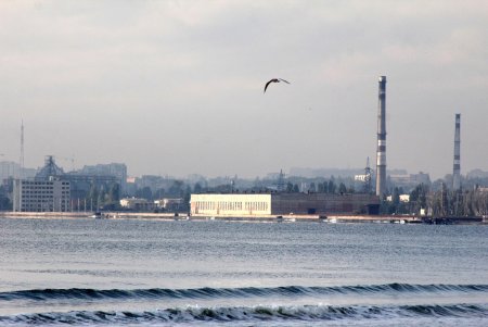 Октябрьская Лузановка: чайки, коты и почти пустой пляж (фоторепортаж)