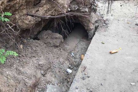 Волонтеры и спасатели пытаются достать щенков из теплотрассы в Приморском районе (фото, видео)
