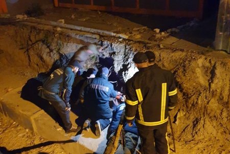 Волонтеры и спасатели пытаются достать щенков из теплотрассы в Приморском районе (фото, видео)