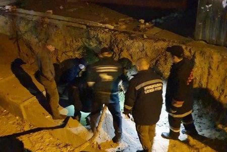Волонтеры и спасатели пытаются достать щенков из теплотрассы в Приморском районе (фото, видео)
