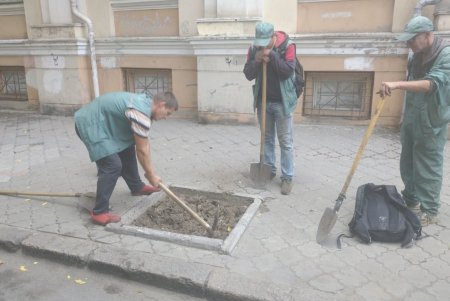 Водителей просят не оставлять авто на тротуарах, чтобы не мешать «Горзелентресту» сажать деревья (фото)