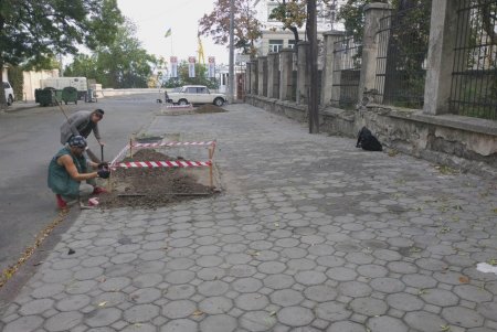 Водителей просят не оставлять авто на тротуарах, чтобы не мешать «Горзелентресту» сажать деревья (фото)