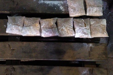 Под видом крахмала из Одесской области в Судовскую Аравию пытались отправить партию психотропов на 30 миллионов долларов