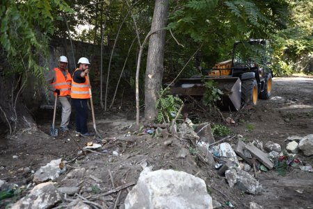 В Приморском районе начались работы по созданию сквера Армейский (фото)