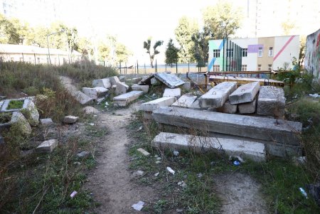 В Приморском районе начались работы по созданию сквера Армейский (фото)