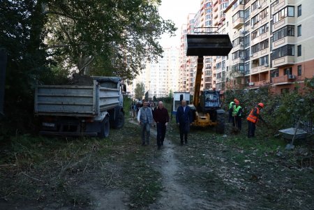 В Приморском районе начались работы по созданию сквера Армейский (фото)