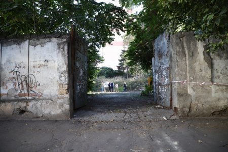 В Приморском районе начались работы по созданию сквера Армейский (фото)