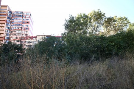В Приморском районе начались работы по созданию сквера Армейский (фото)