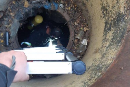 В Белгород-Днестровском районе спасли козленка, упавшего в цистерну с нефтепродуктами (фото)