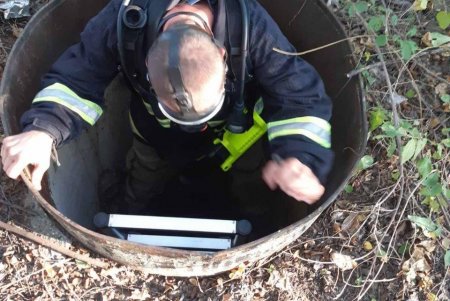 В Белгород-Днестровском районе спасли козленка, упавшего в цистерну с нефтепродуктами (фото)