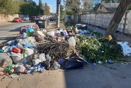 В Малиновском районе расчистили стихийные свалки (фото)