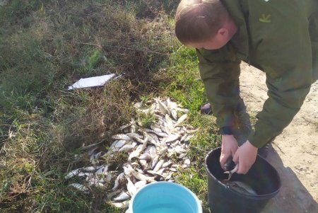 В озера Ялпуг и Кугурлуй выпустили 21 тонну мальков (фото)