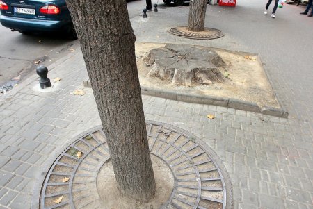 Пантелеймоновская – улица рыбных рядов (фоторепортаж)