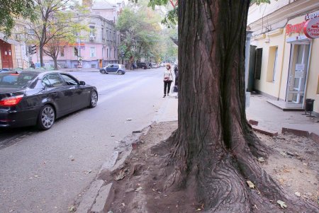 Пантелеймоновская – улица рыбных рядов (фоторепортаж)