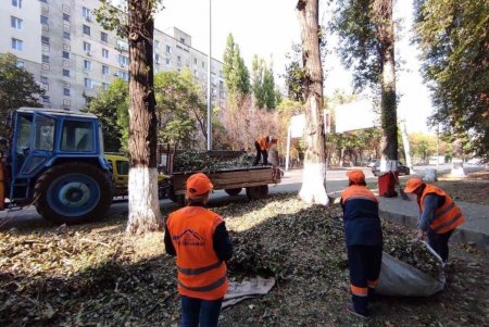 Коммунальщики трех предприятий совместно облагородили частный сектор в Киевском районе (фото)